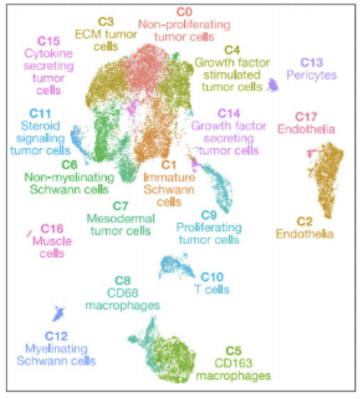 Scientific data visualization showing multi-omic analysis, cell clustering, and biological pathways