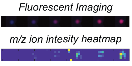 Chemical titration curve showing enzyme activity